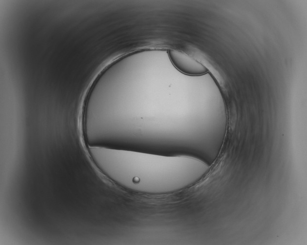 X0000102380861200808010913