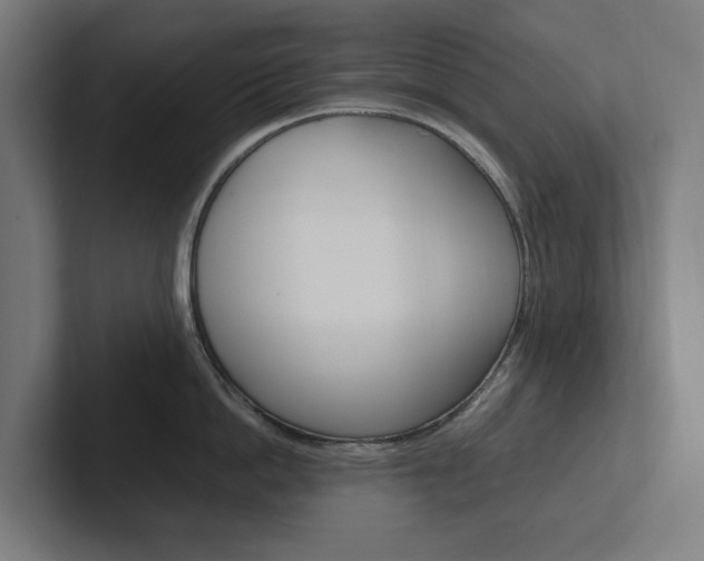 X0000102380862200808010913