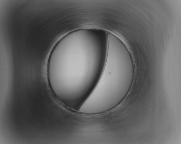 X0000102380864200808010913
