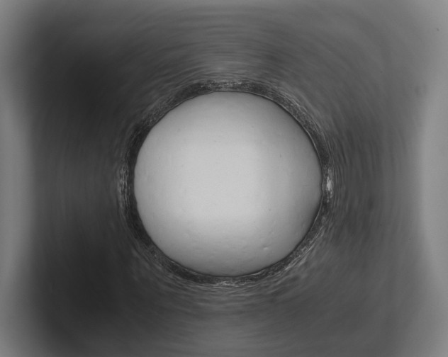 X0000102380867200808010912