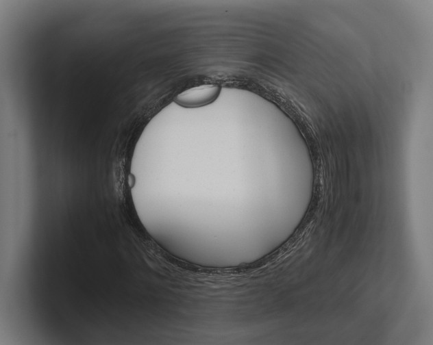 X0000102380868200808010912