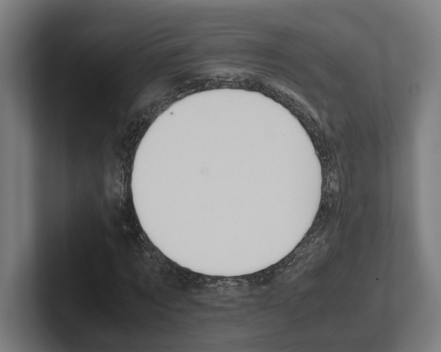 X0000102380869200808010912