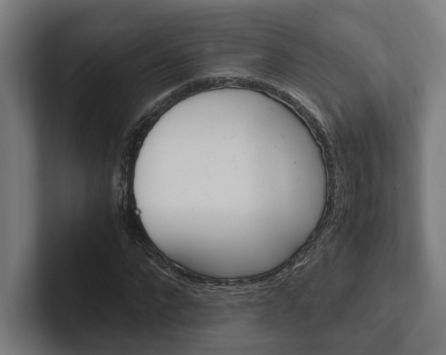X0000102380872200808010912
