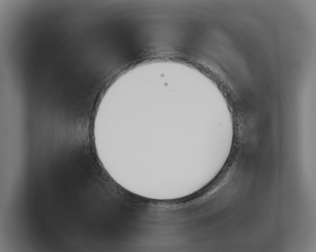 X0000102380873200808010912