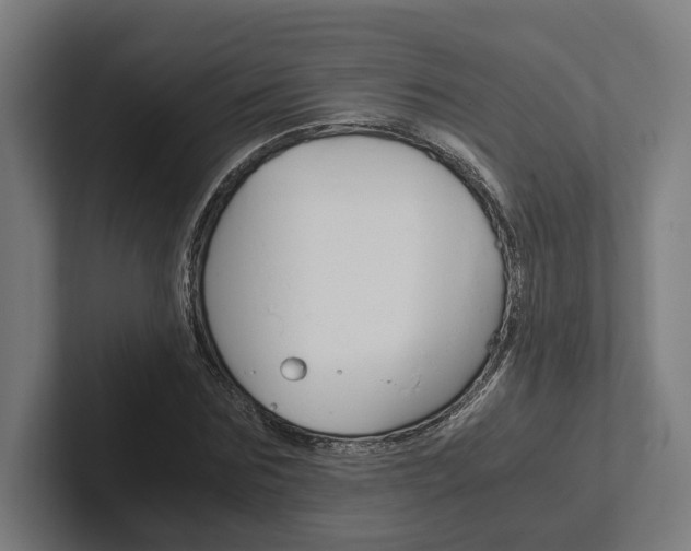 X0000102380875200808010912