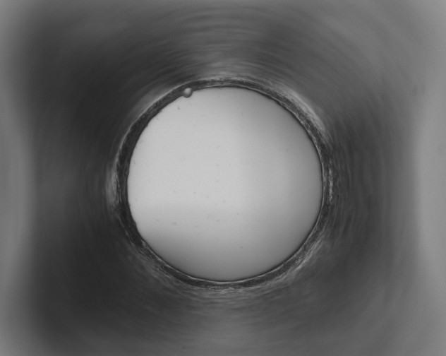 X0000102380876200808010912