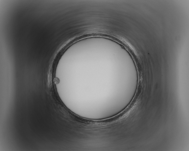 X0000102380877200808010912