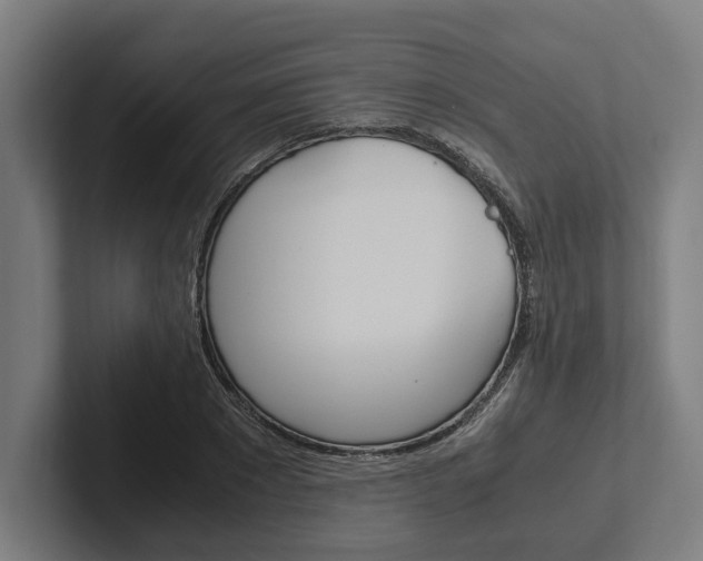 X0000102380881200808010912