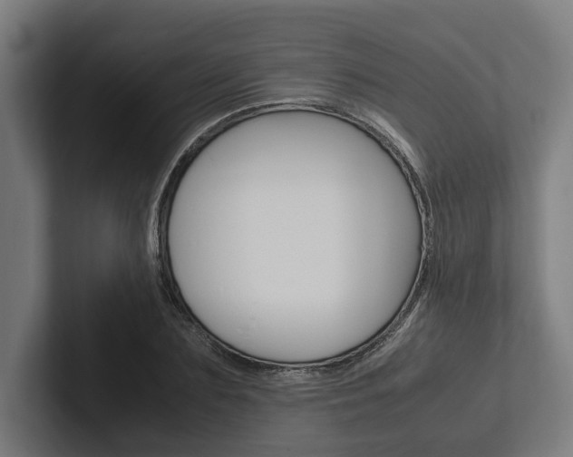 X0000102380883200808010912