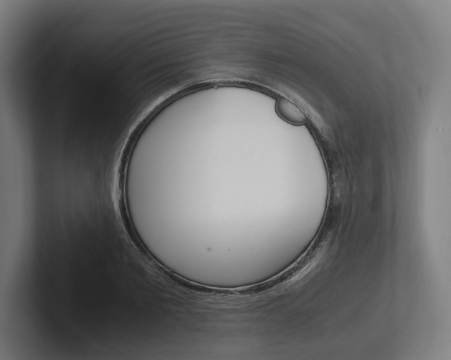 X0000102380885200808010912