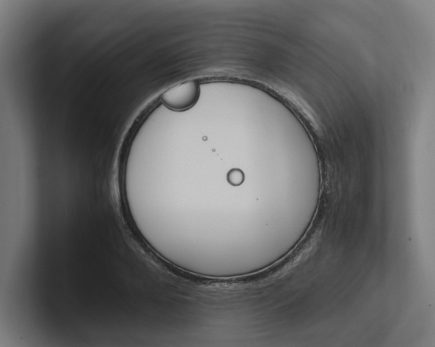 X0000102380888200808010912