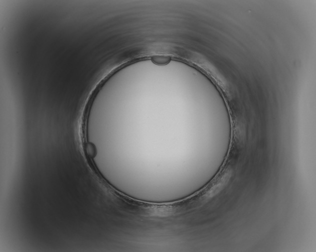 X0000102380893200808010912