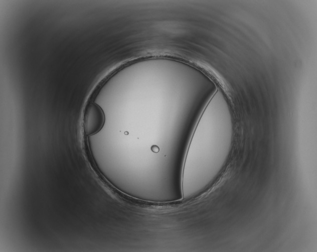 X0000102380894200808010912