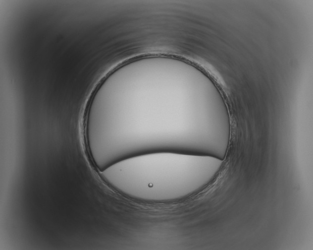 X0000102380895200808010912