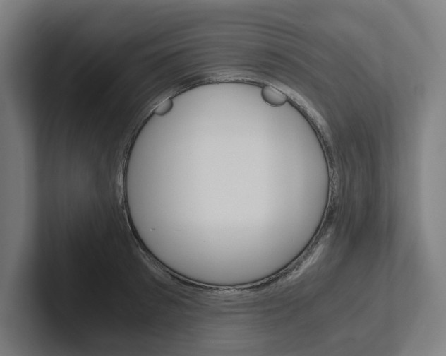 X0000102380897200808010912