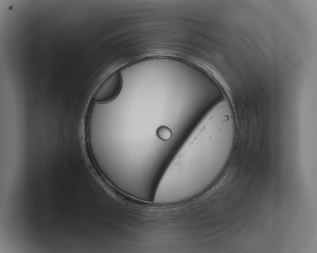 X0000102380898200808010912