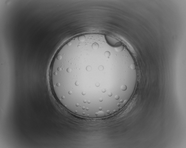 X0000102380899200808010912
