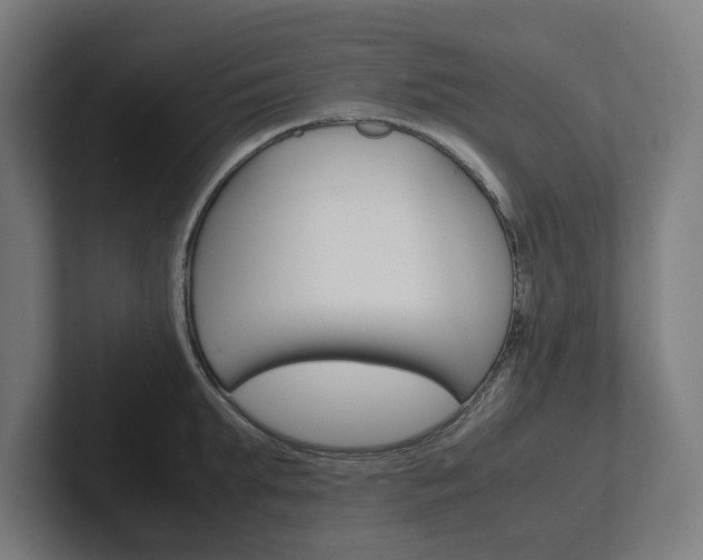 X0000102380903200808010912