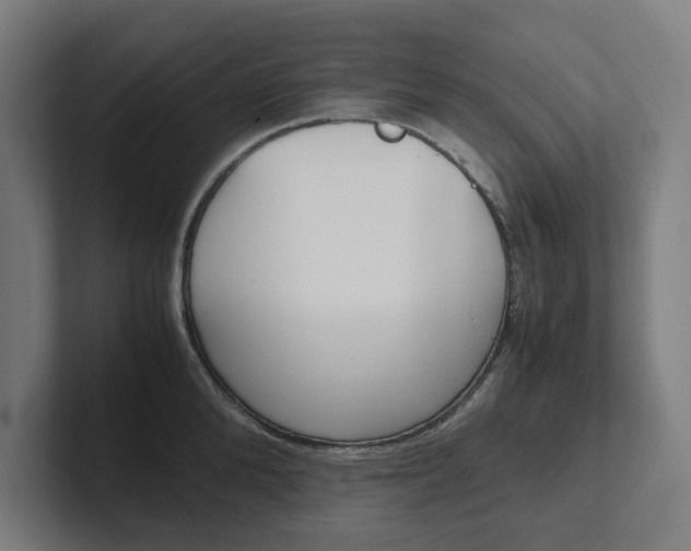 X0000102380904200808010912