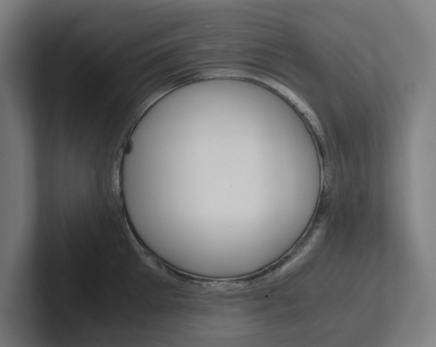 X0000102380905200808010912