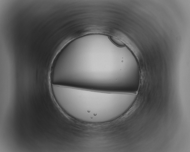 X0000102380906200808010912