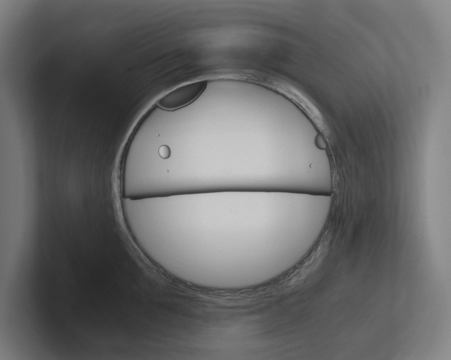 X0000102380907200808010912
