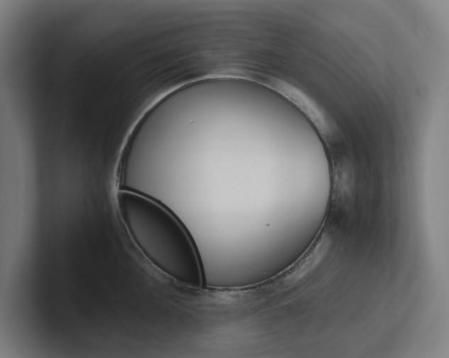 X0000102380908200808010912