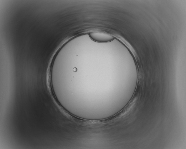 X0000102380909200808010912