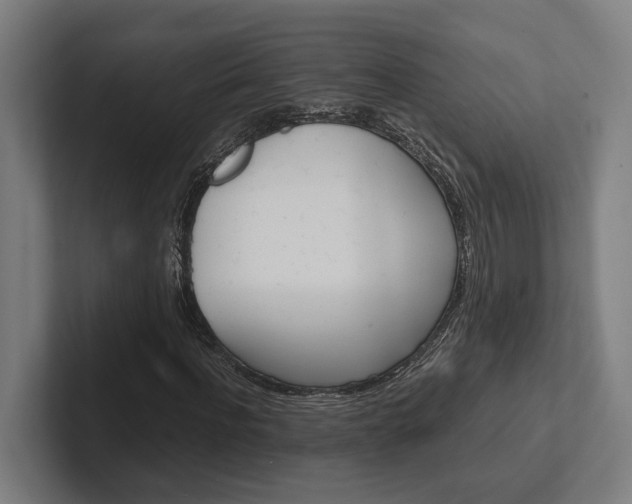 X0000102380916200808010911