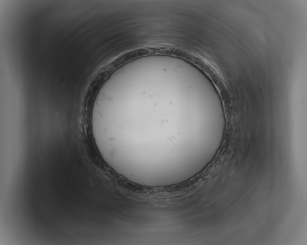 X0000102380920200808010911
