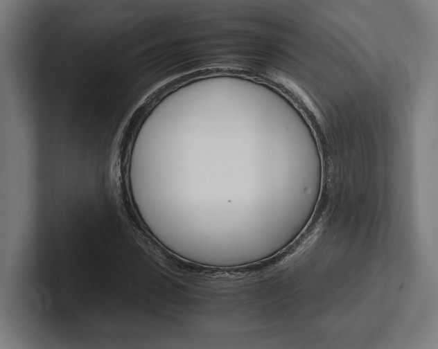 X0000102380923200808010911