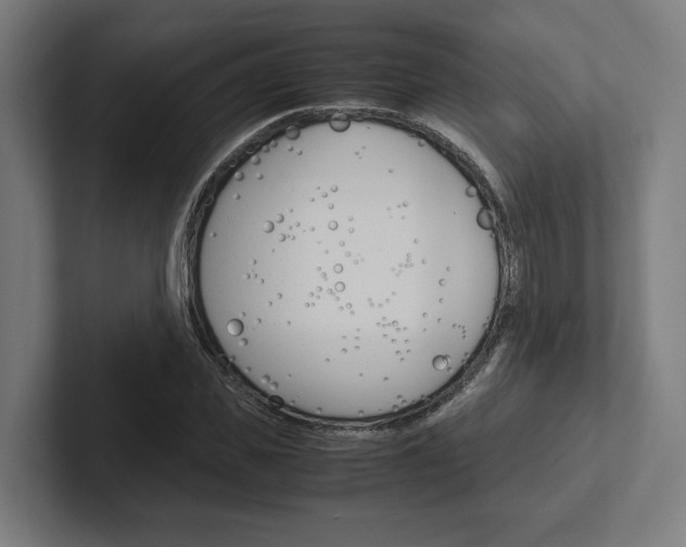 X0000102380925200808010911