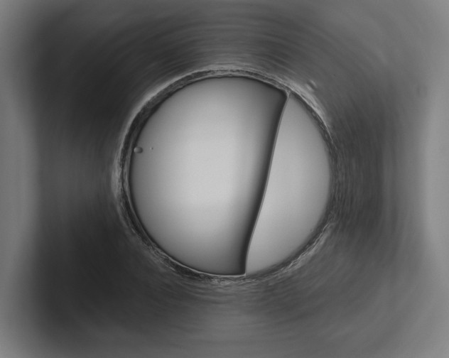 X0000102380928200808010911