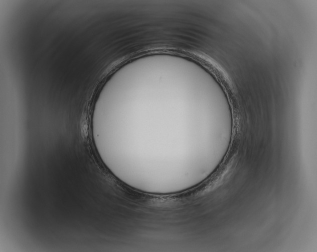 X0000102380929200808010911