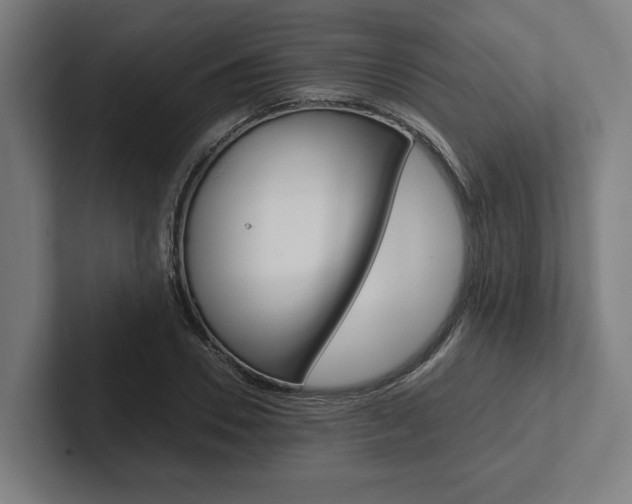 X0000102380930200808010911