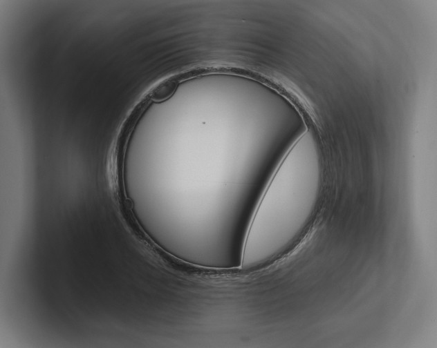 X0000102380934200808010911