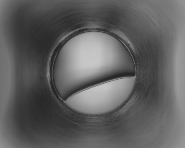 X0000102380935200808010911