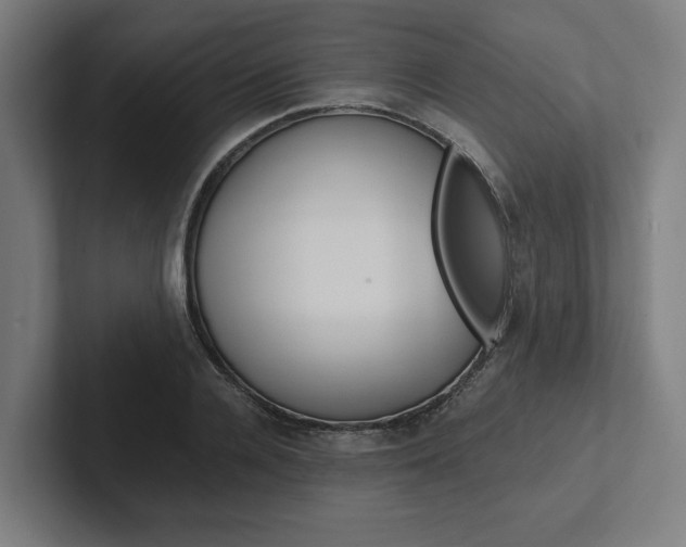 X0000102380936200808010911