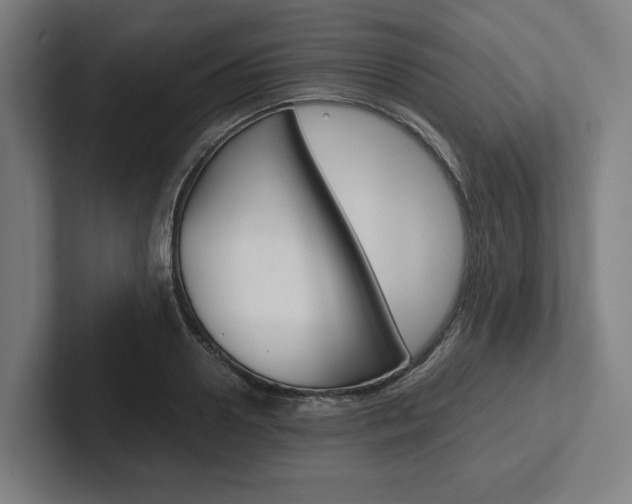 X0000102380938200808010911