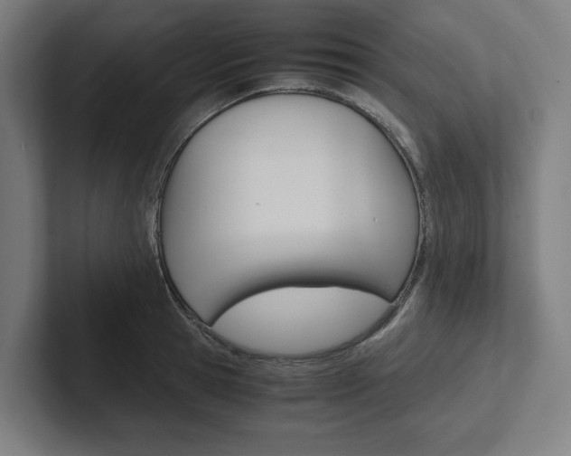 X0000102380945200808010911