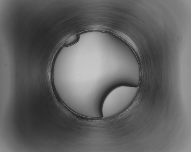 X0000102380946200808010911