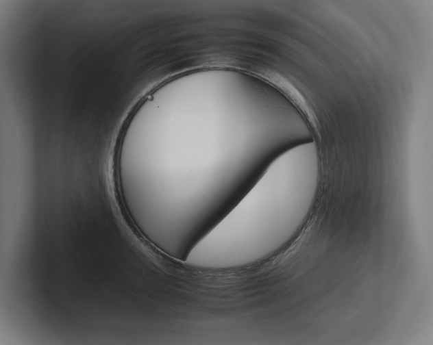 X0000102380947200808010911