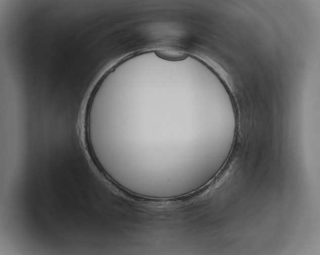 X0000102380949200808010911