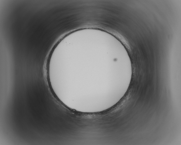X0000102380950200808010911