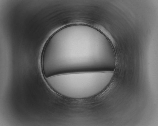 X0000102380951200808010911