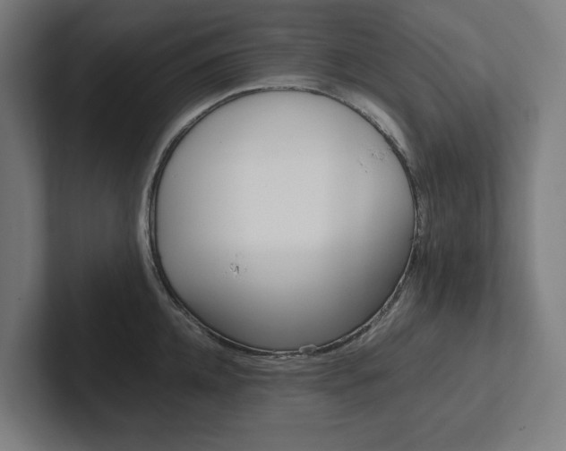 X0000102380952200808010911