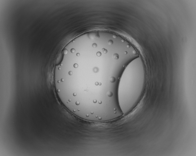 X0000102380953200808010912