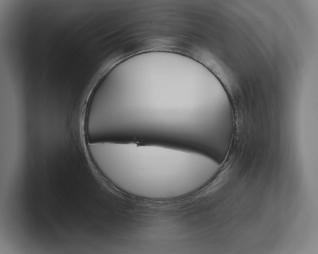 X0000102380954200808010912