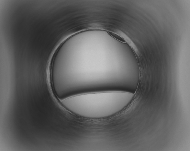 X0000102380955200808010912