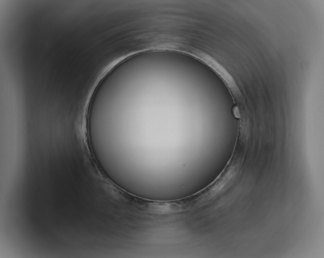 X0000102380956200808010912